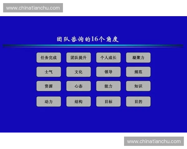 团队结构优化与协同效能提升的策略研究与实践探索