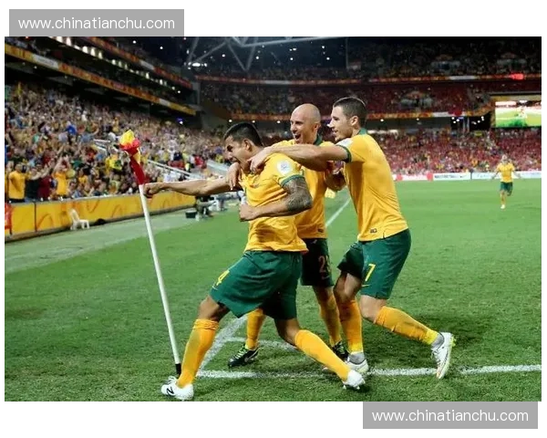 外援注册政策调整与球队战术融合对中国足球联赛发展的深远影响