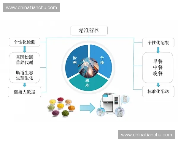 品牌赞助驱动下的市场策略与创新案例深度解析