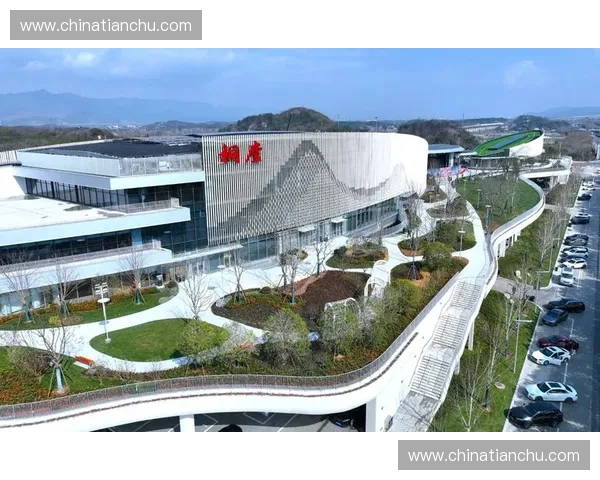 体育用品零售行业全渠道升级与年轻消费趋势融合发展新观察研究报告